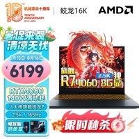 机械革命蛟龙16Pro 新锐龙八大核强芯高性能AIPC电竞游戏本蛟龙16K 满功耗高刷大学生设计师办公笔记本电脑 锐龙7 16G 1T固态 满功耗4060|定制进阶