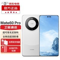 华为 Mate 60 Pro 【24期|白条可选】  华为手机 mate 60 pro 遥遥领先 白沙银 12GB+512GB【鸿蒙系统】