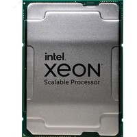 英特尔 Xeon至强四代五代可扩展服务器cpu 铂金/金牌/银牌/铜牌 LGA4677 针脚 6530（32核64线程2.1G）