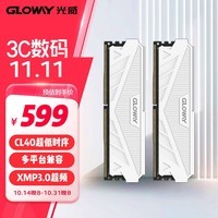 光威（Gloway）48GB(24GBx2)套装 DDR5 5600 台式机内存条 天策系列 XMP&EXPO 适配黑神话悟空