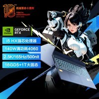 机械革命（MECHREVO）极光Pro 2024款16英寸游戏本 高性能酷睿i5HX处理器 满血版4060电竞设计办公笔记本电脑 i5-13450HX丨16G丨2T丨升级版 DDR5高速内存丨2.5K