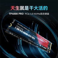 腾隐（TENGYIN）精选长江存储晶圆台式机笔记本SSD固态硬盘PCIe4.0 NVMe TP4000PRO 1TB 7400MB/S