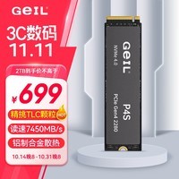 GEIL金邦 2TB SSD固态硬盘 M.2接口(PCIe 4.0 x4)NVMe SSD游戏高性能版高速7450MB/S P4S系列