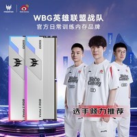 宏碁掠夺者(PREDATOR)32G(16G×2)套装 DDR5 6800频率 台式机内存条 Vesta II 炫光星舰RGB灯条(C34)星光银