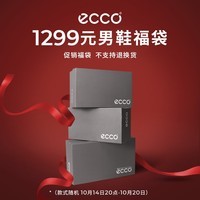 爱步（ECCO）男鞋到手价1299元限量福袋（内含2双鞋，不支持退换货介意慎拍） 随机 39