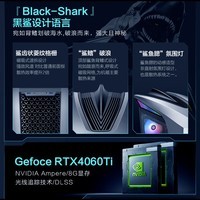 雷神(ThundeRobot)黑武士5 Shark水冷游戏台式电脑电竞主机(13代i5-13400 16G RTX4060Ti 1TP4SSD 水冷散热)