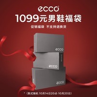 爱步（ECCO）男鞋到手价1099元限量福袋（不支持退换货介意慎拍） 随机 （内含2件鞋款，款式随机）39