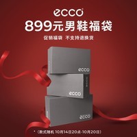 爱步（ECCO）男鞋到手价899元限量福袋（不支持退换货介意慎拍） 随机 （内含2件鞋款，款式随机）39