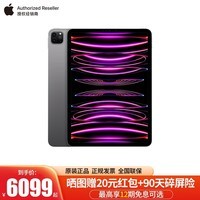 Apple 2022新款 iPad Pro 11英寸平板电脑二合一2021升级款M2芯片 WLAN版 深空灰色 官方标配 128G