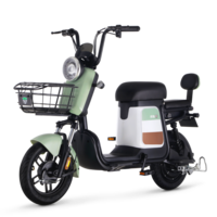 绿源超长续航锂电池电动车新国标电动自行车  ZFB 千草绿48V24A（预计7天左右发货）