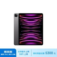 Apple/苹果 iPad Pro 12.9英寸平板电脑 2022年款(2TB 5G版/MP2H3CH/A)深空灰色 蜂窝网络