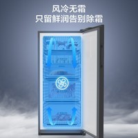 容声（Ronshen）155升立式冰柜风冷无霜除菌净味 冷藏冷冻抽屉式冷柜家用小冰箱BD-155WRSY以旧换新