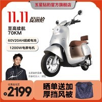 五星钻豹电动车60V20AH电动摩托车成人男女士电瓶车1200W大功率新款电摩G3 银川蓝