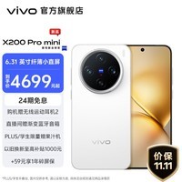 vivo X200 Pro mini 6.31英寸纤薄小直屏 蔡司超级长焦 5700mAh蓝海电池 蓝晶 x 天玑9400 AI手机 直白 12GB+256GB 官方标配