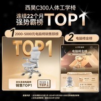 西昊Doro C300二代 人体工学椅电脑椅子办公椅人工力学座椅久坐电竞椅