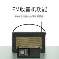 艾利和(Iriver) ICM30黑胶无损HIFI音乐播放器发烧级运动MP3录音FM收音机随身听 ICM30-银色