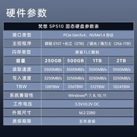 梵想（FANXIANG）SP510  M.2固态硬盘接口 PCIe3.0 精选TLC颗粒 一体机台式机笔记本电脑AI PC存储配件 梵想SP510  1TB 梵想SP510