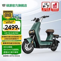 绿源（Luyuan）LIVA7豪华版新国标电动自行车48V24Ah锂电代步轻便电瓶车 liva7锂电 岩绿