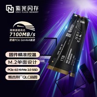 紫光闪存（UNIS FLASH MEMORY）1TB 7100MB/s SSD固态硬盘PCIe 4.0接口  S2 系列 紫光出品