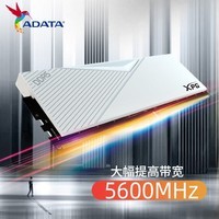 威刚（ADATA）32GB(16GX2)套装 DDR5 5600 台式机内存条 XPG威龙-LANCER (釉白)