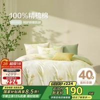 博洋家纺床上用品四件套纯棉被套床单100%棉套件全棉被罩1.8米床