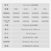 金邦（GeIL）SSD固态硬盘M.2(NVMe协议) 高速笔记本台式固态硬盘P3L系列 2TB Pcie3.0