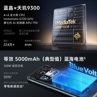 VIVO  X100 蓝晶×天玑9300 5000mAh蓝海电池 蔡司超级长焦 120W双芯闪充 5G手机 辰夜黑16GB+512GB
