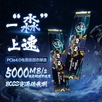 梵想（FANXIANG） 4TB SSD固态硬盘M.2接口NVMe协议（PCIe4.0*4） 台式机笔记本电脑S690MQ系列