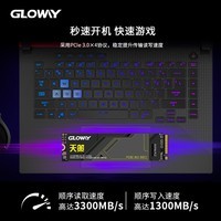 光威（Gloway）512GB SSD固态硬盘 M.2接口(NVMe协议) PCIe 3.0x4 天策系列