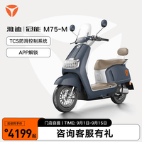 雅迪（yadea）【门店自提】冠能 M75-M 电动摩托车 复古通勤代步长续航智能电动车前后双碟摩托车 颜色到店自选