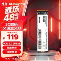 光威（Gloway）256GB SSD固态硬盘 M.2接口(NVMe协议) PCIe 3.0x4 Basic+系列