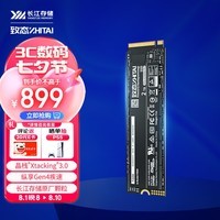 致态（ZhiTai）长江存储 2TB SSD固态硬盘 NVMe M.2接口 Ti600系列 (PCIe 4.0 产品)