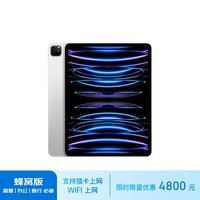 Apple/苹果 iPad Pro 11英寸平板电脑 2022年款(2TB 5G版/MNYY3CH/A)银色 蜂窝网络