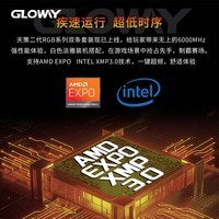 光威（Gloway) 48GB(24GBx2)套装 DDR5  6000 台式机内存 天策系列 CL42