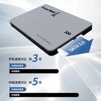 长城（Great Wall) 4TB SSD固态硬盘 SATA3.0接口 读速550MB/S台式机/笔记本通用 GW560系列 