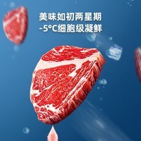 格力（GREE）晶弘 600升一级能效 变频对开门冰箱 深冻锁鲜 风冷无霜养鲜 节能低噪 BCD-600WPDCL/布鲁斯