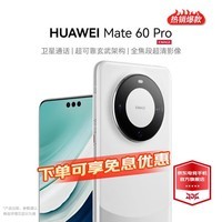 华为 Mate 60 Pro 【24期|白条可选】  华为手机 mate 60 pro 遥遥领先 白沙银 12GB+512GB【鸿蒙系统】