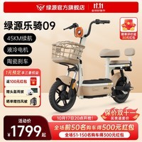 绿源（Luyuan）【新品】新国标电动自行车乐骑09 通勤代步买菜带娃电瓶车 48V12Ah锂电 麦芽棕