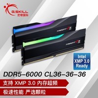 芝奇（G.SKILL）32GB(16Gx2)套装 DDR5 6000频率 台式机内存条-幻锋戟RGB灯条(黯雾黑)/C36