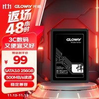 光威（Gloway）256GB SSD固态硬盘 SATA3.0接口 悍将系列