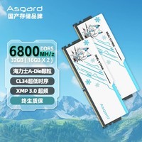 阿斯加特(Asgard)32GB(16Gx2)套 DDR5 6800 台式机内存条 吹雪联名款马甲