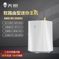 天钡WTR 迷你主机AMD桌面PC R5电脑整机NAS软路由5500U双通道便插硬盘仓WIFI6无线 白色 准系统【无内存硬盘】 双2.5G+WIFI6