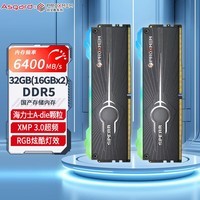 阿斯加特（Asgard）32GB(16Gx2)套装 DDR5 6400 台式机内存条 博德斯曼-双叉戟 RGB灯条 海力士A-die