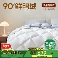 网易严选A类 90%白鸭绒羽绒被 被子 鸭绒被 加厚冬被 650g 150*200cm 白色