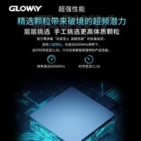 光威（Gloway）32GB(16GBx2)套装 DDR5 6000 台式机内存条 龙武系列 三星颗粒 CL36