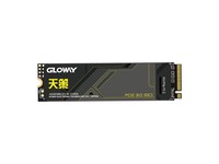 光威（Gloway）512GB SSD固态硬盘 M.2接口(NVMe协议) PCIe 3.0x4 天策系列