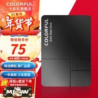 七彩虹（Colorful） SL500 SSD固态硬盘 SATA3.0接口台式机电脑笔记本固态硬盘 SL300 128G【升级加装】 三年保固