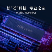 海康威视（HIKVISION）SSD固态硬盘 M.2接口 NVMe协议 CC300 512GB PCIe3.0 高性价比固态