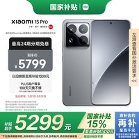 小米15Pro 国家补贴 骁龙8至尊版移动平台 徕卡潜望长焦 16+512 岩石灰 5g手机国补
