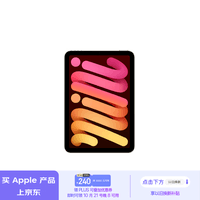 Apple/苹果 iPad mini (A17 Pro) 8.3英寸 2024年新款平板电脑(128G WLAN版/MXN83CH/A)星光色